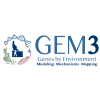 GEM3 logo